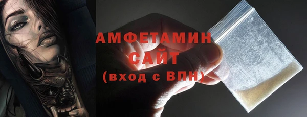 прущие грибы Новозыбков