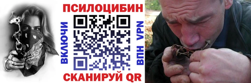 Псилоцибиновые грибы Cubensis Пролетарск