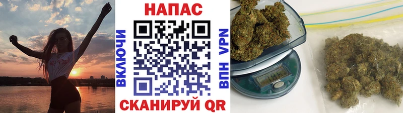 Бошки Шишки конопля  где можно купить наркотик  Пролетарск 